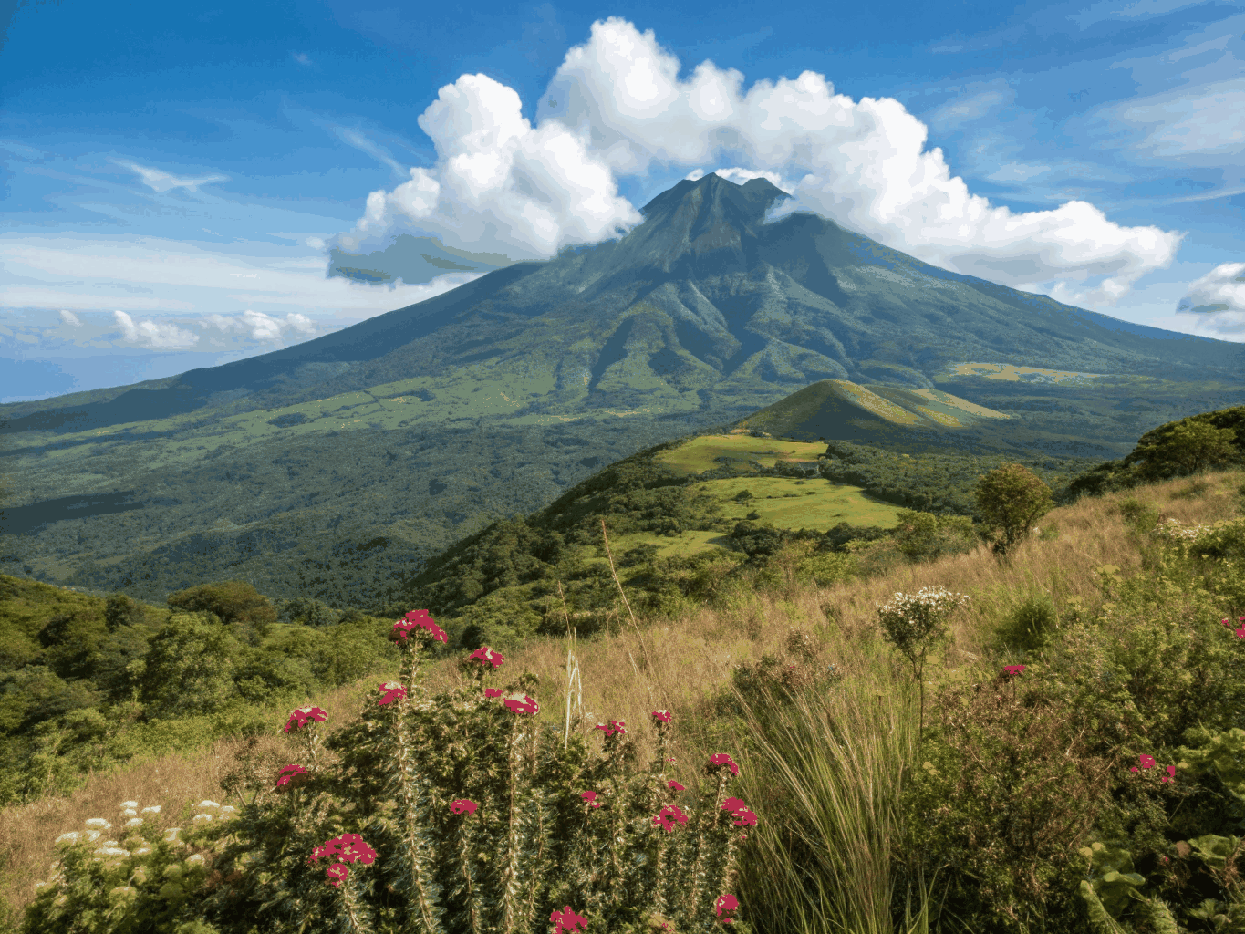 Foothills of Mount Cameroon at Mile 14 (Dibanda), Buea, Cameroon