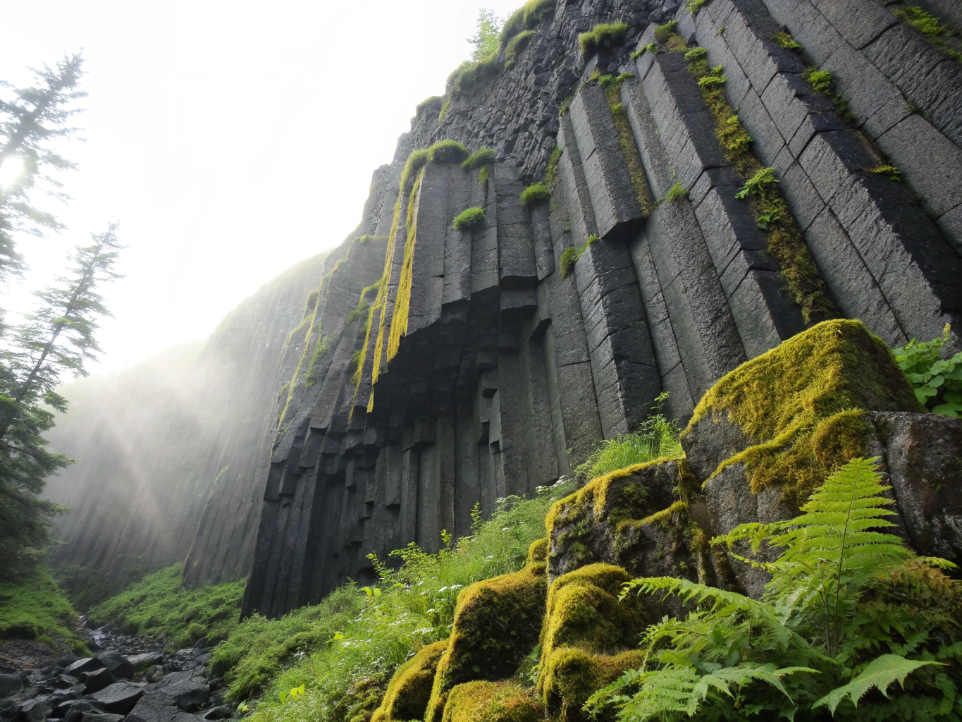 Ancient moss-covered volcanic basalt rock formations surrounded by indigenous tropical foliage on Mount Cameroon